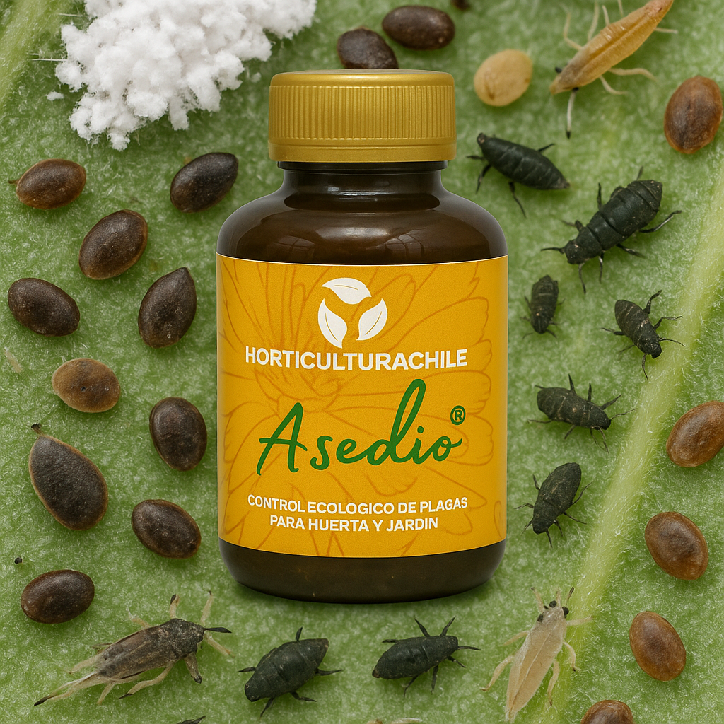 Asedio - Control de plagas