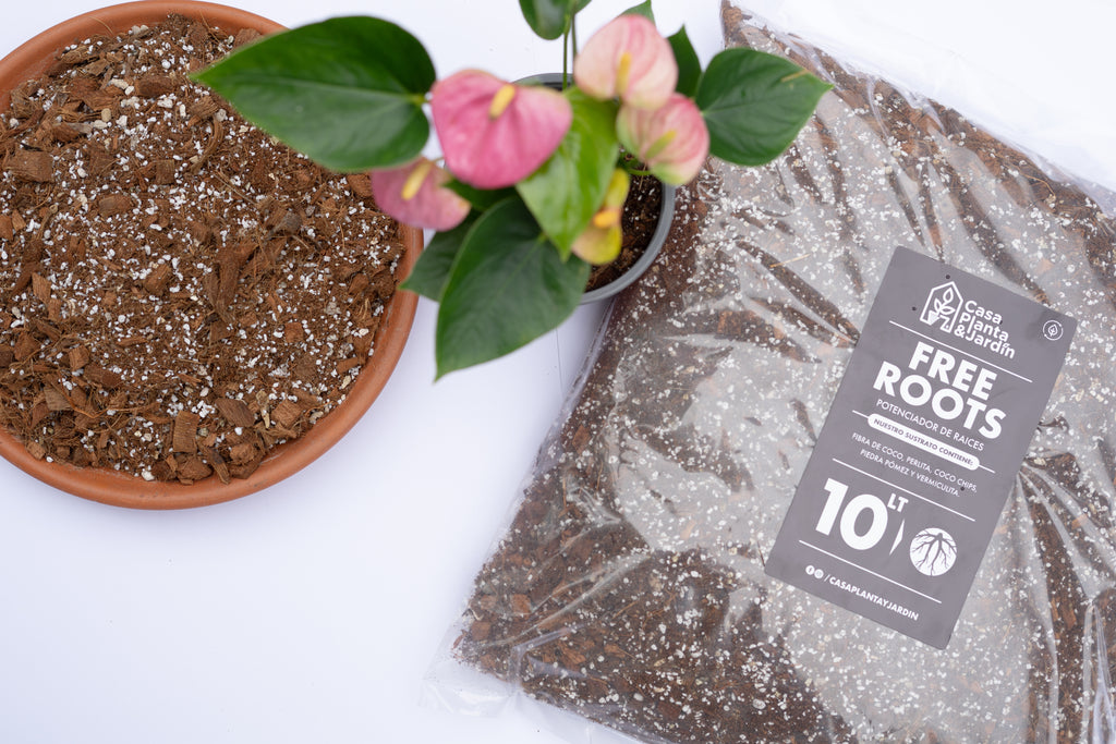 FreeRoots - Sustrato para Plantas de Interior