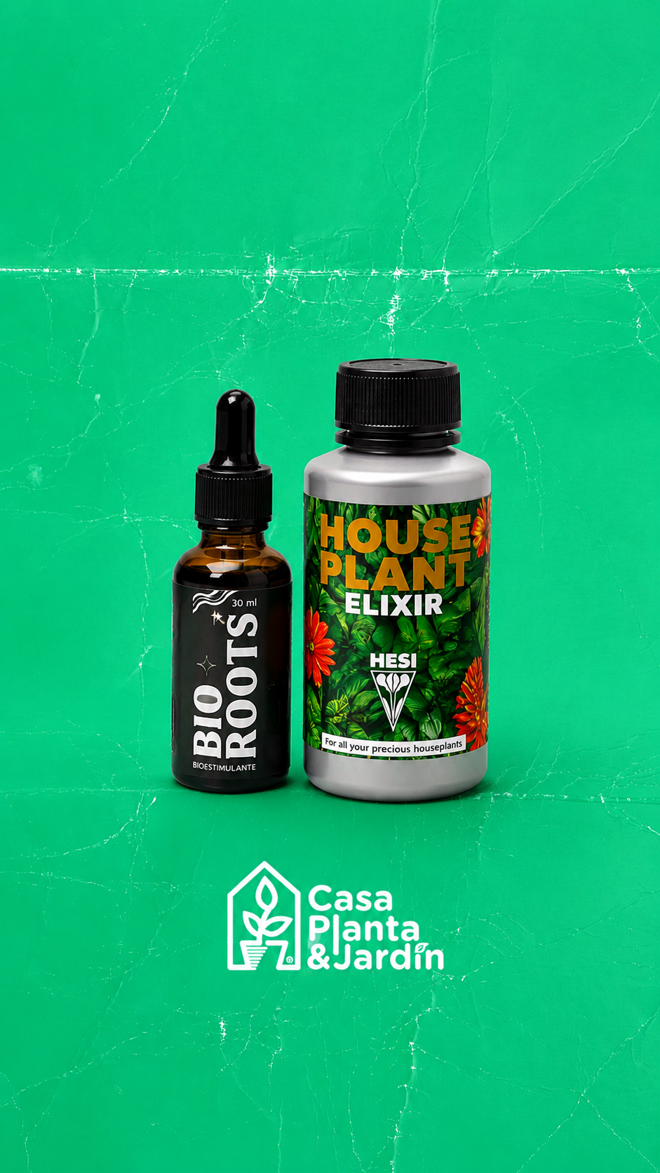 Casa Planta + Hesi