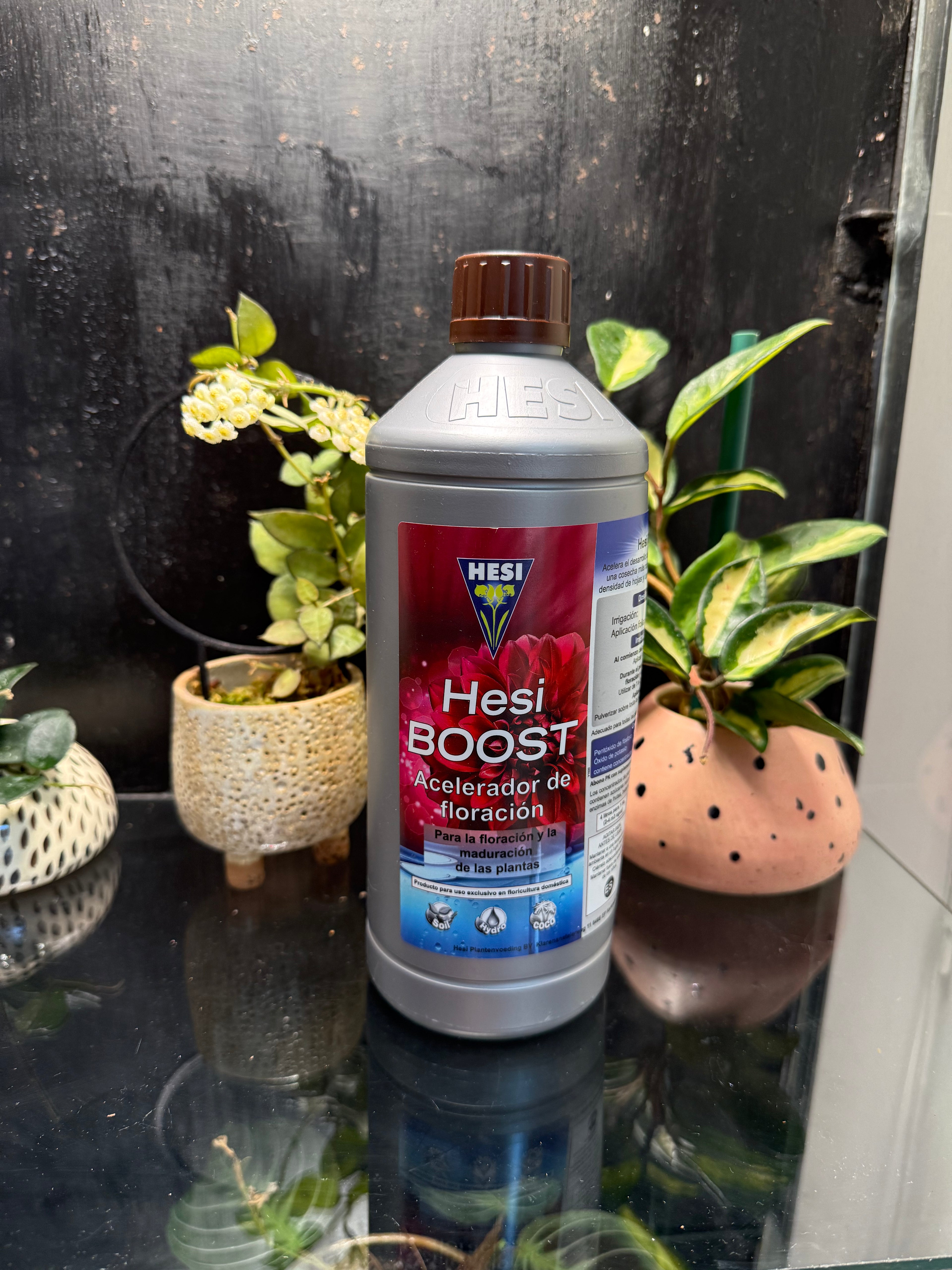Hesi Boost - Potenciador de Floración